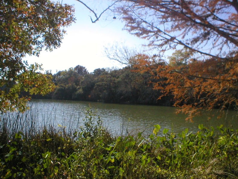 towards waters edge side.JPG